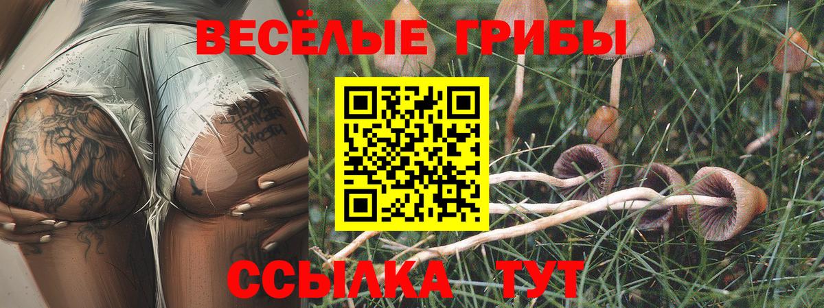 хочу наркоту  Вход с VPN  Галлюциногенные грибы GOLDEN TEACHER  Феодосия  Галлюциногенные грибы мицелий 